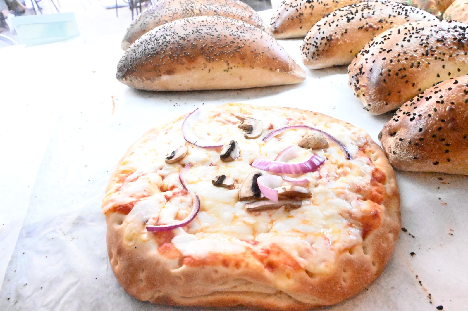 WhatsApp Image 2022-11-16 at 10.29.37 AM.jpeg